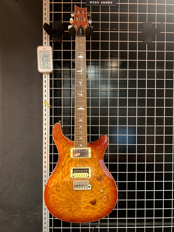 P.R.S. SE Custom 24 Bird Inrayの画像